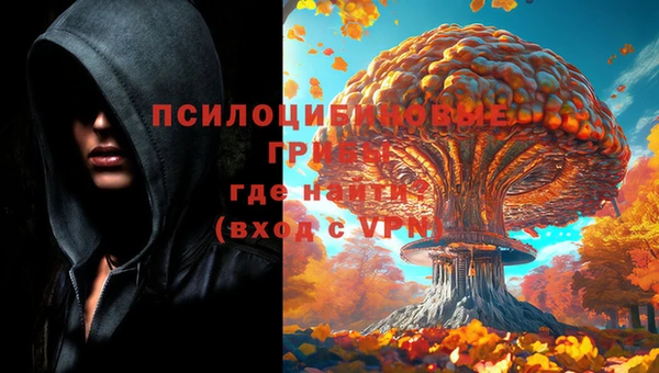 спайс Алексеевка