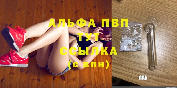 молекула духа Алексин