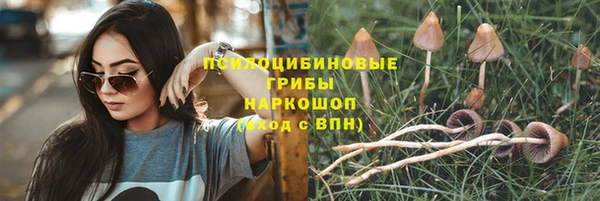 молекула духа Алексин